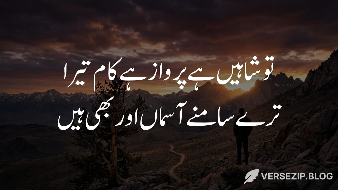Allama Iqbal poetry shaheen 2 lines text in urdu
