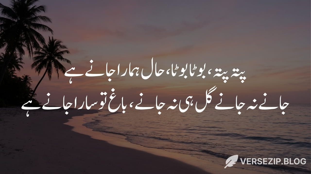 Mir Taqi Mir heart touching sad poetry 2 lines