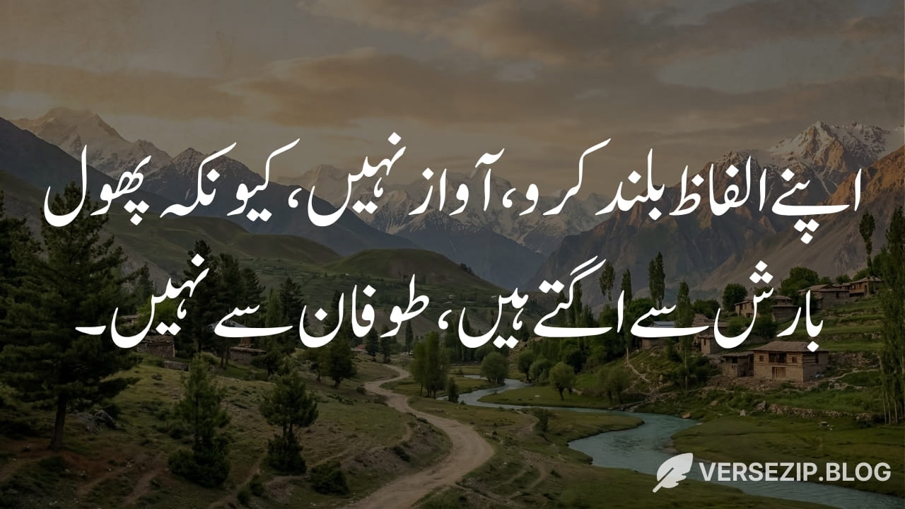 Maulana Rumi quote about words vs voice