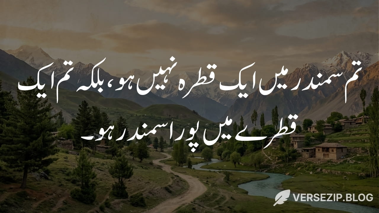 Maulana Rumi quote about the ocean in a drop